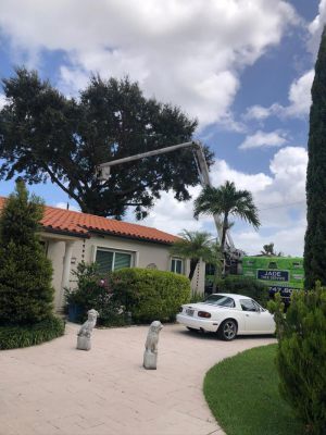 <span  class="uc-style-135468146098" style="color:#ffffff;">jade-tree-service-12</span>