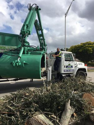 <span  class="uc-style-202824875379" style="color:#ffffff;">jade-tree-service-19</span>
