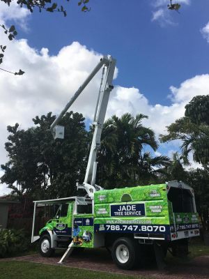 <span  class="uc-style-229223959509" style="color:#ffffff;">jade-tree-service-21</span>