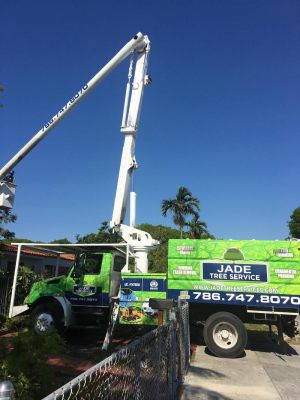 <span  class="uc-style-250466038891" style="color:#ffffff;">jade-tree-service-24</span>