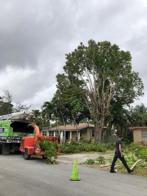 <span  class="uc-style-281863182421" style="color:#ffffff;">jade-tree-service-27</span>