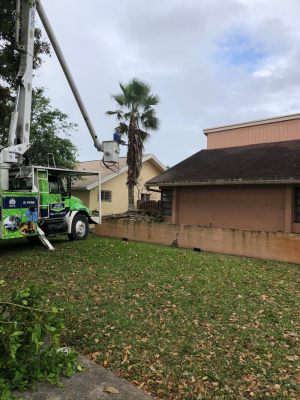 <span  class="uc-style-421358186502" style="color:#ffffff;">jade-tree-service-41</span>